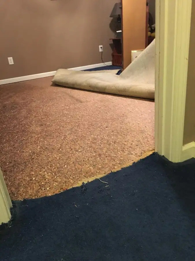 Carpet pad removal revealing water damage during Drying & Dehumidification in White Plains