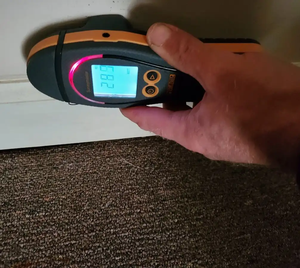 Moisture detection at baseboard during Sewage Cleanup & Sanitation in White Plains